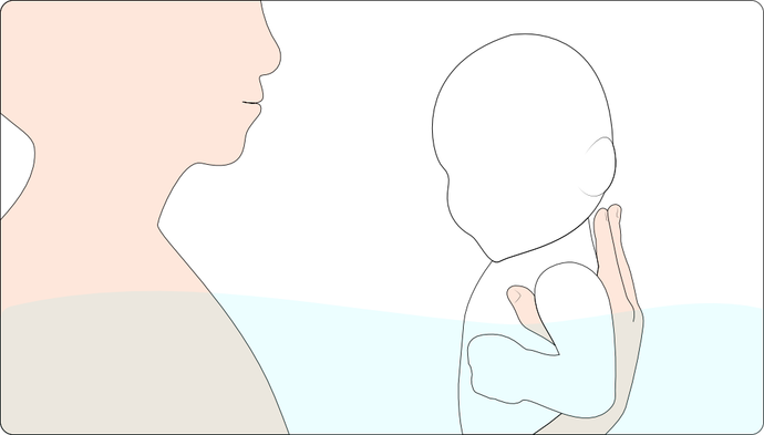 Basis nakkestøtte til babysvømning